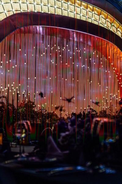 探索金年会的完美玩法场地 探索金年会的完美玩法场地