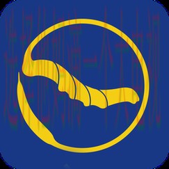 免费下载半岛APP最新版